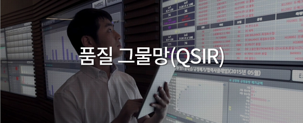 품질 그물망(QSIR) 구축